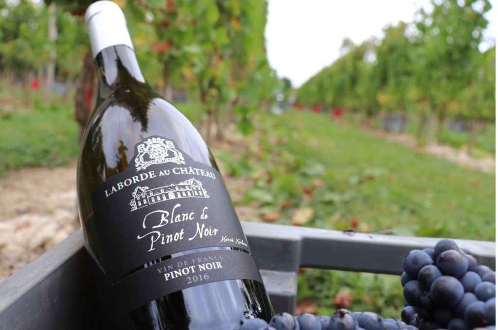vin blanc de pinot noir