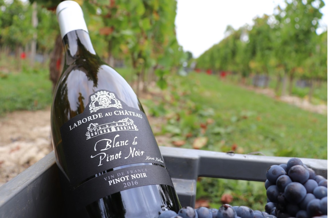 vin blanc de pinot noir