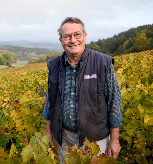 herve kerlann vigneron