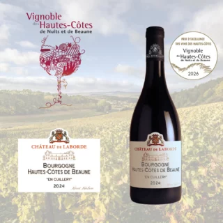 Gevrey-Chambertin Vieilles Vignes 2022 - Château de Laborde
